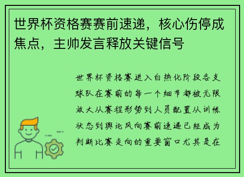 世界杯资格赛赛前速递，核心伤停成焦点，主帅发言释放关键信号